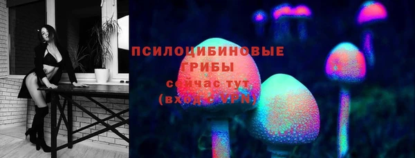 прущие крисы Гусь-Хрустальный