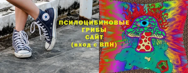 прущие крисы Гусь-Хрустальный