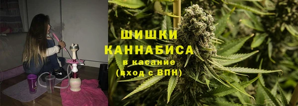 МДПВ Гусев