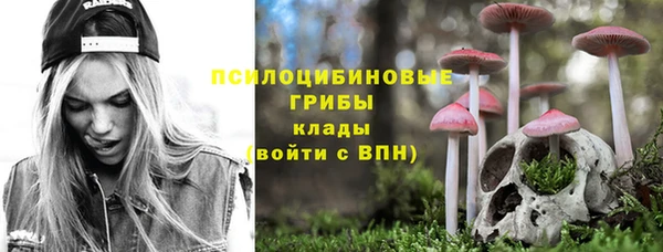 прущие крисы Гусь-Хрустальный