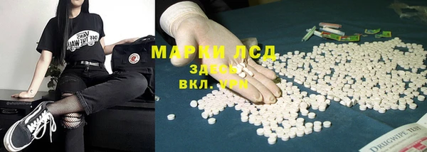 МДПВ Гусев