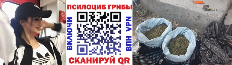 площадка Telegram  Меленки  Галлюциногенные грибы Cubensis  где купить наркоту 
